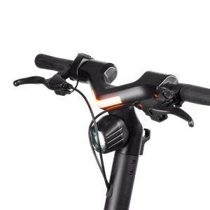 Elektrinis paspirtukas REBEL FAST WHEELS PRO MAX