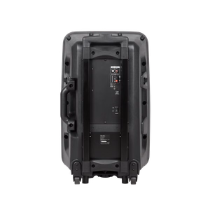 Aktyvi garso kolonėlė su 2 belaidžiais mikrofonais, SD, Bluetooth, USB, 12 colių, 40 W