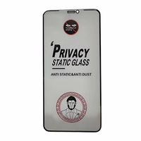 LCD apsauginis stikliukas ESD Anti-Static Privacy Samsung S936 S25 Plus/S937 S25 Edge