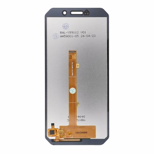 FixCell LCD ekranas DOOGEE S61 Pro OEM be rėmelio