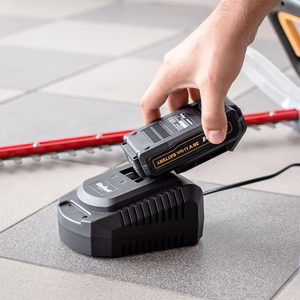 Rebel Tools akumuliatorius, 20 V, 2 A