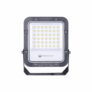 Floodlight LED PROXIM+ 30W 6500K 4500lm 230V IP65 Forever Light 150lm/W 5 years warranty
