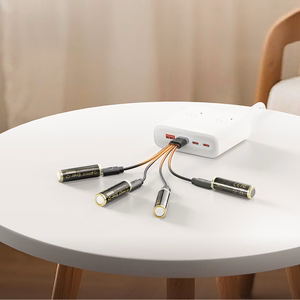 Orico Ener-G EG5C lithium battery 1.5V 2100mWh AA USB-C rechargeable battery 2 pcs.