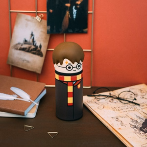 Harry Potter Harry 3D cilindrinis penalas