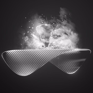 Benks grūdintas stiklas Glass Warrior HD Samsung Galaxy S25 Ultra telefonui (su pirštų atspaudų atrakinimu)