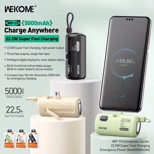 Power Bank WK Design "WP-19 Companion" Black 5000mAh (22.5W)