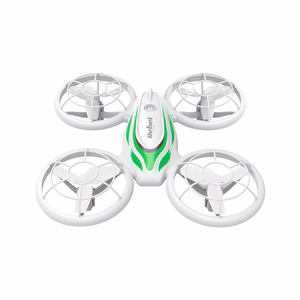 Dronas REBEL SPARROW