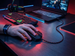 Esperanza EGM201R pelė USB Type-A optinė 2400 DPI dešinei rankai