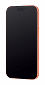 Apple iPhone 17 Pro Max 17,5 cm (6.9") Dviguba SIM jungtis iOS 26 5G C tipo USB 1 TB Oranžinė