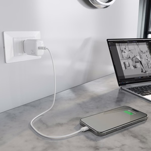 Puro Daily Prolite 25W USB-C Power Delivery įkroviklis - baltas
