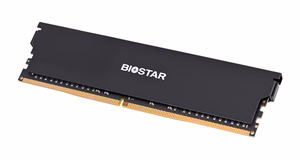 Biostar DDR4 Storming V atminties modulis 8 GB 1 x 8 GB 3200 MHz (DX32NU4H08)