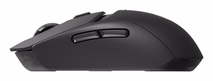 Logitech G 910-007199 žaidimų pelė dešiniarankiams RF belaidė + Bluetooth optinė 2560 DPI