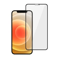 Privatumo apsauginis stiklas Tel Protect 10X Privacy Titanium skirtas Iphone 12/12 Pro