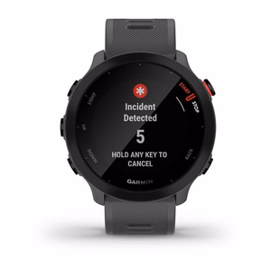 Garmin Forerunner 55 MIP 42 mm Skaitmeninis 208 x 208 pikseliai Lietimui jautrus ekranas Pilka GPS (palydovinis)