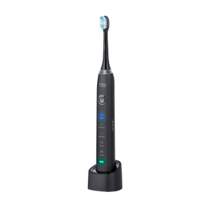 Garsinis dantų šepetėlis Teesa Sonic Black