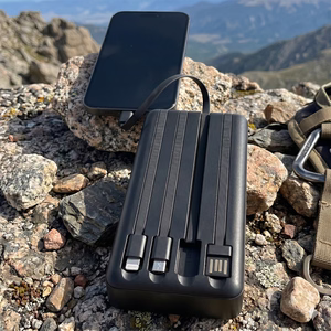 Setty solar power bank SLR-100 10000 mAh juodas