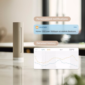 Netatmo NWS-S – išmanioji meteorologinė stotelė, smėlio spalvos