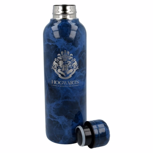 Harry Potter Hogwarts nerūdijančiojo plieno termobutelis, 515 ml