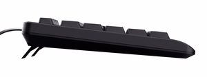 Trust TK-150 universali klaviatūra USB QWERTY juodas