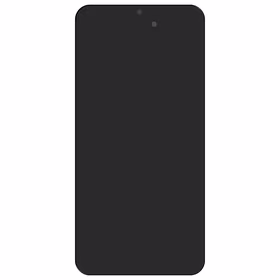 LCD + jutiklinis ekranas Samsung A16 4G juodas originalus