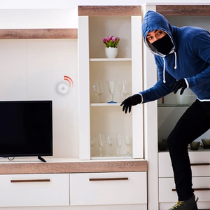 Alpina Zigbee išmanusis PIR judesio jutiklis