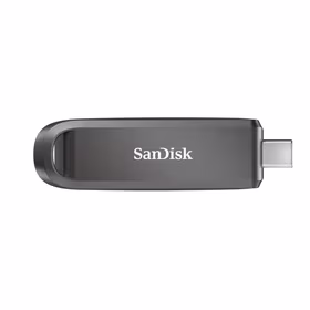 USB-C atmintinė SANDISK 512GB