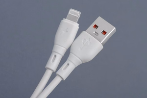 BLUE STAR ECO kabelis 2,4A USB A į Lightning PJ68-24-2.4 1m baltas