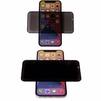 Apsauginis stiklas Privatumo iPhone 16 Pro Max