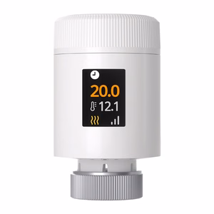 Thermostatic Radiator Valves