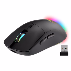 Belaidė 2-in-1 pelė (BT/RF) TYLIOJI IR ĮKRAUNAMA MT1124
