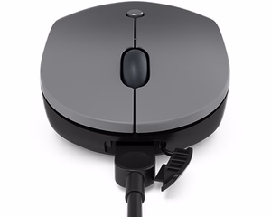 Lenovo Go pelė Office universali RF belaidis optinė 2400 DPI