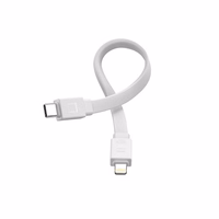 Išorinė baterija Joyroom "JR-PBM01" Balta 20W 10000mAh (Belaidis įkrovimas) + Type-C / Lightning laidas