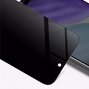 AmazingThing Radix privatumo apsauginis stiklas iPhone 17 Pro Max