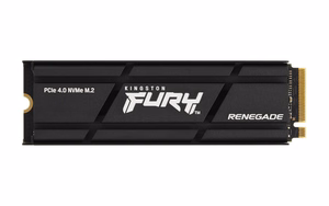 Kingston Technology 2000G RENEGADE PCIe 4.0 NVMe SSD su radiatoriu