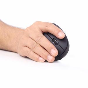 Gembird MUSW-ERGO-01 kompiuterio pelė Dešinės rankos Radijo dažnio belaidė Optinis 1600 DPI