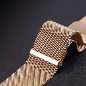 DUX DUCIS dirželis MILANESE nerūdijančio plieno magnetinis 22 mm auksinis