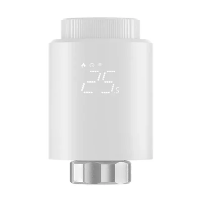 Termostatinės galvutės