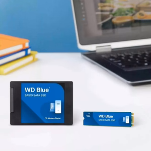 WD Blue SA510 SATA SSD 7 mm/2,5 colių korpuse 500 GB (WDS500G5B0A-00LMP0)