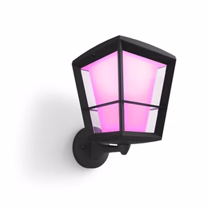 Philips Hue WCA Econic Outdoor Wall Lantern Up 15 W 2000-6500 Hue White Colour Ambiance
