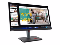 LENOVO ThinkVision P24q-30 23.8 col. monitorius