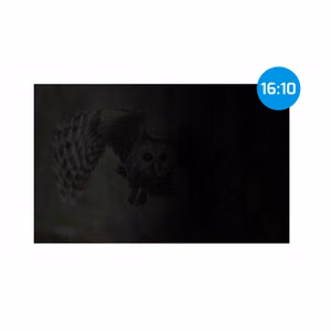 Natec Owl NFP-2477 – 14 colių 16:10 privatumo filtras
