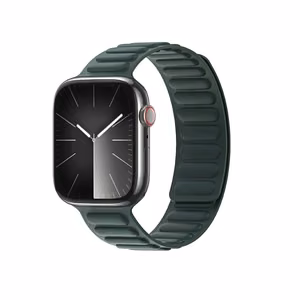 Magnetinis Dux Ducis Strap BL Apple Watch 38 / 40 / 41 mm - žalias