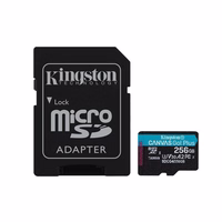 Kingston Technology Canvas Go! Plus 256 GB MicroSD UHS-I Klasės 10
