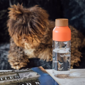Quokka Ice Ecozen gertuvė, 720 ml, Paukščiai
