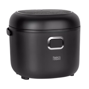 Kelioninis daugiafunkcis puodas ir ryžių viryklė TEESA, 2 l, 12–24 V / 230 V, 350 W