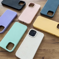 Eco Case mėtinis silikoninis dėklas telefonui iPhone 12 Pro