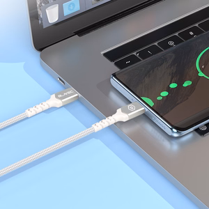 Kabelis Blavec Cable Raptor pluoštinis - Type-C į Lightning - PD 20W 2,4A 0,25 m Apple CarPlay (CRA-CL24WS025) baltas-sidabrinis