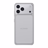 HOTWAV A17 Pro Max išmanusis telefonas (sidabrinis)