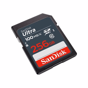 MEMORY SDXC 256GB UHS-I/SDSDUNR-256G-GN3IN SANDISK