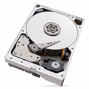 Seagate vidinis standusis diskas IronWolf Pro (ST10000NT001) – 10 TB, 7200 rpm, SATA